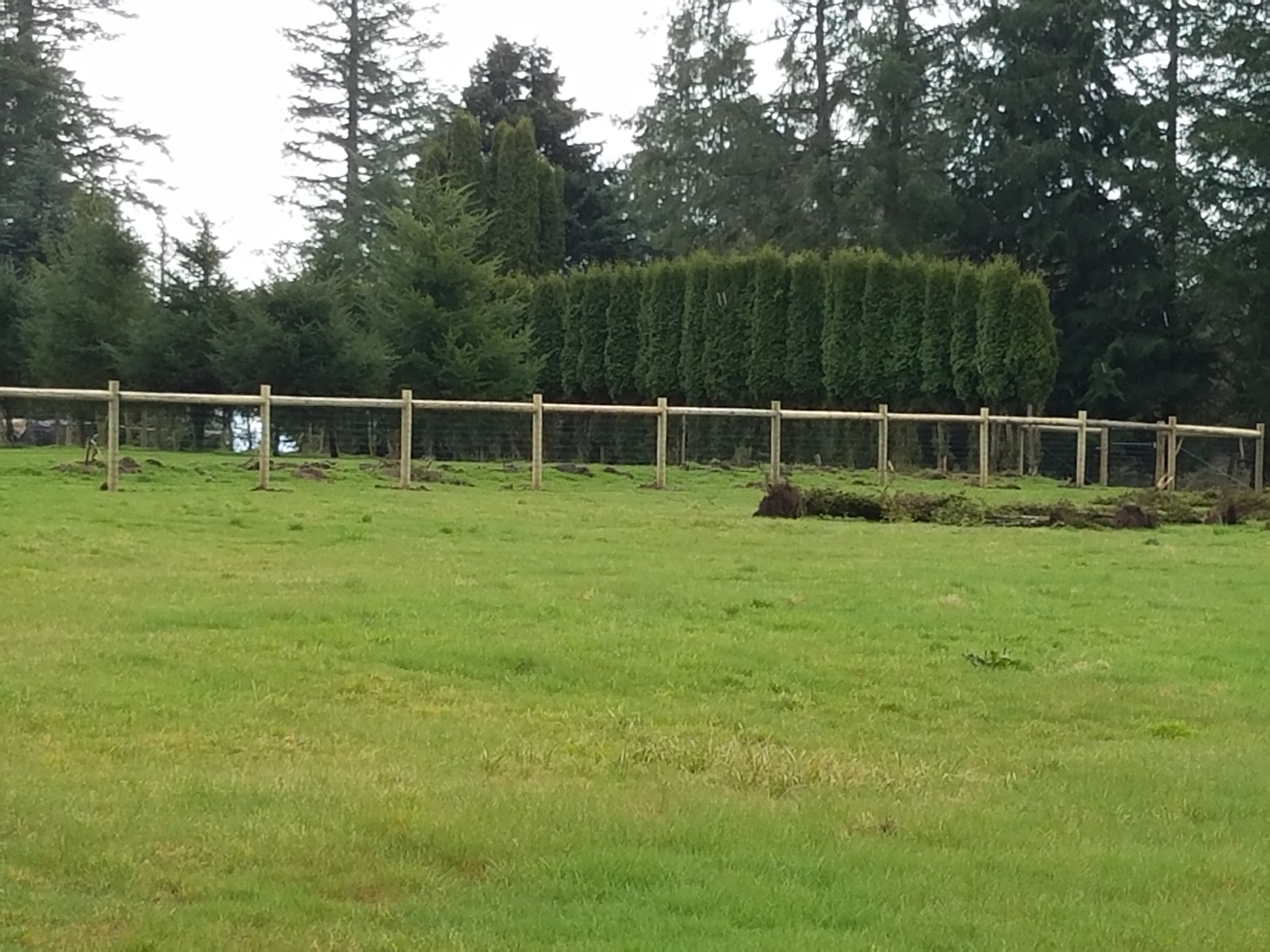 residential farm fence.